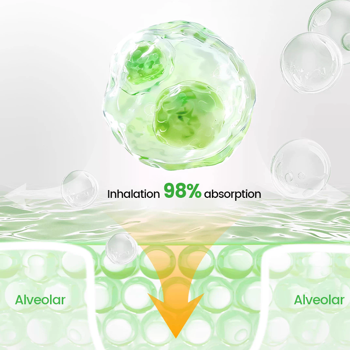 Timilk® Pulmovia Quercetin Lung Detox Inhaler