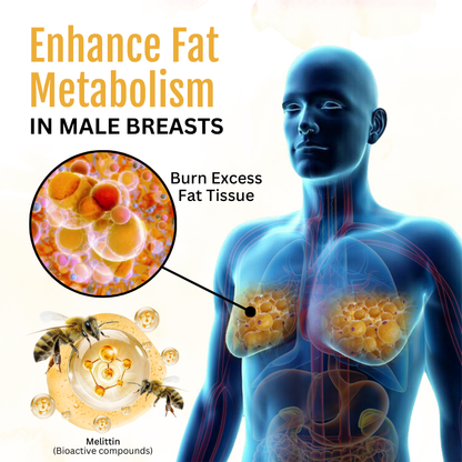 Biancat® ThermoFirm Bee Venom Gynecomastia Oil 🔥